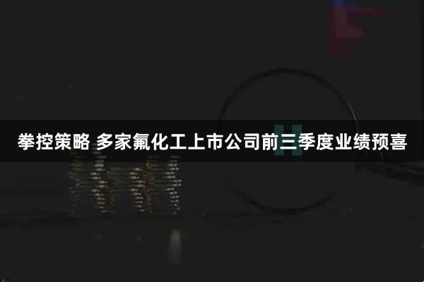 拳控策略 多家氟化工上市公司前三季度业绩预喜